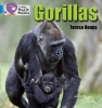 Collins Big Cat Phonics B4: Gorillas Photo