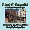 A Lot O' Granada a Kid's Guide to Granada Spain Photo