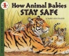 How Animal Babies Stay Safe Photo