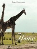 Close to Home Photo