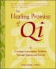 The Healing Promise of Qi: Creating Extraordinary Wellness Through Qigong and Tai Chi Photo