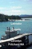Labrador Nature Sauvage Terreneuve Et Labrador Canada Photo