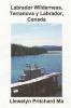 Labrador Wilderness Terranova y Labrador Canada Photo