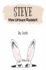 Steve the Urban Rabbit Photo