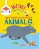 Wow! Animals Photo