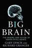 Big Brain Photo