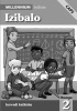 Action millennium mathematics: Gr 2: Teacher's guide Photo