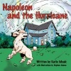 Napoleon and the Hurricane Photo