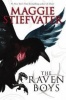 The Raven Cycle #1: The Raven Boys Photo