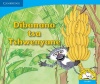 Baby Monkey's Bananas Sesotho Version Photo