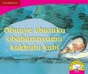 Obunye ubusuku obabumnyama kakhulu kabi Obunye ubusuku obabumnyama kakhulu kabi Photo