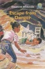 Junior African Writers Series: Escape from Danger: Level 3 Photo