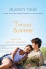 Forever Summer Photo