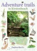 Adventure trails in Kirstenbosch Photo