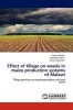 Effect of Tillage on Weeds in Maize Production Systems of Malawi Photo