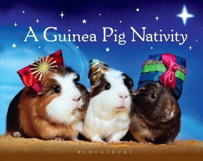 Photo of A Guinea Pig Nativity