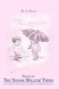 Tales of the Sugar Hollow Twins: Bk. 2 Photo