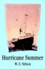 Hurricane Summer Photo