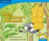 Baby monkey's bananas: Gr R - 3: Big book Photo