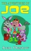 The Adventures of Joe Photo