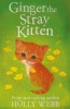 Ginger the Stray Kitten Photo