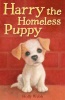 Harry the Homeless Puppy Photo