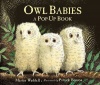 Owl Babies Photo