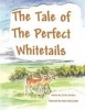 The Tale of the Perfect Whitetails Photo