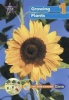 New Star Science Yr1/P2 Photo