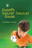 David's Secret Soccer Goals Photo