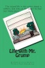 Life with Mr. Grump: The second story in the series about a kitten's nine lives & her quest to find her Name Giver. Photo