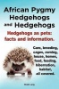 African Pygmy Hedgehogs and Hedgehogs. Hedgehogs as Pets: Facts and Information. Care Breeding Cages Owning House Homes Food Feeding Hibernati Photo