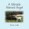 A Miracle Named Angel Photo