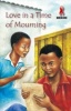 Junior African Writers Series HIV/Aids Lvl D: Love in a Time of Mourning Photo