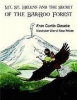 Mt. St. Helens and the Secret of the Bar-Roo Forest Photo