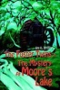 The Foster Twins in the Mystery at Moore's Lake Photo