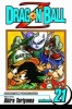 Dragon Ball Z Vol 21 Photo
