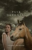 Past Darkness Photo