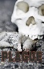 Plague Photo