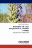 Examples of Crop Adaptation to Climate Change Photo