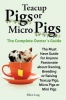 Teacup Pigs and Micro Pigs the Complete Owner's Guide Photo
