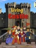 BC NF Turquoise B/1A Living in a Castle Photo
