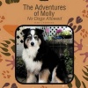 The Adventures of Molly Photo