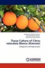Tissue Culture of Citrus Reticulata Blanco Photo