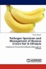 Pathogen Spectrum and Management of Banana Crown Rot in Ethiopia Photo