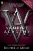 Vampire Academy Photo