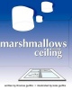 Marshmallows on the Ceiling Photo