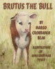 Brutus the Bull Photo