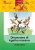 Dinonyana di kgetha morena: Gr 4 Photo