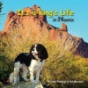 It's a King's Life in Phoenix: Sniff out adventure! Photo